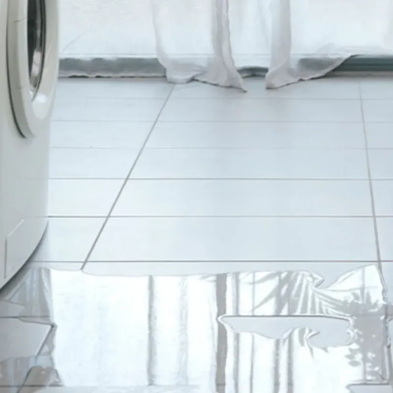 Appliance Leak Cleanup in Saint Louis, MI