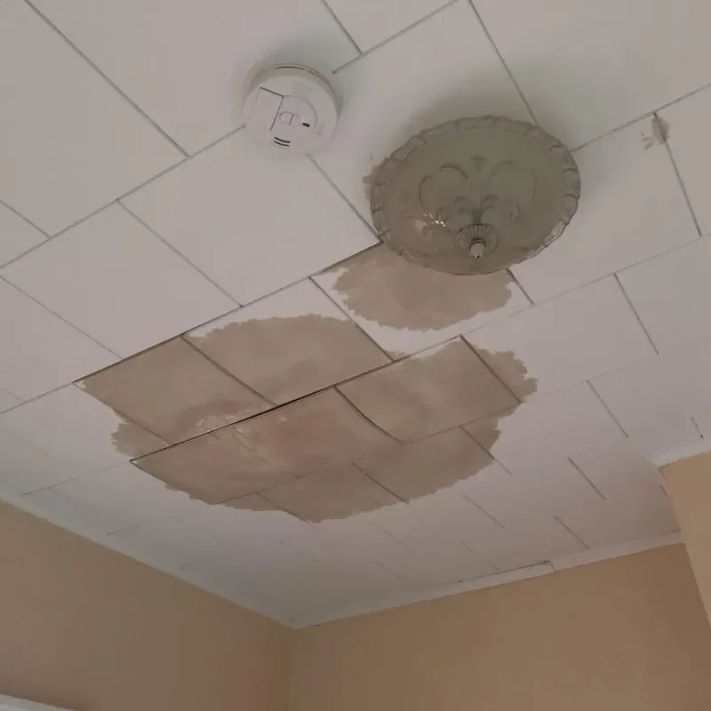 Ceiling Water Damage Repair in Saint Louis, MI