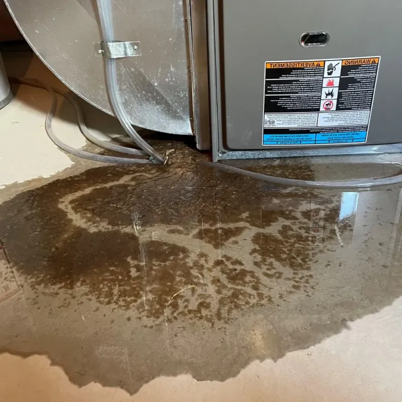 Pipe Burst and Leak Restoration in Saint Louis, MI