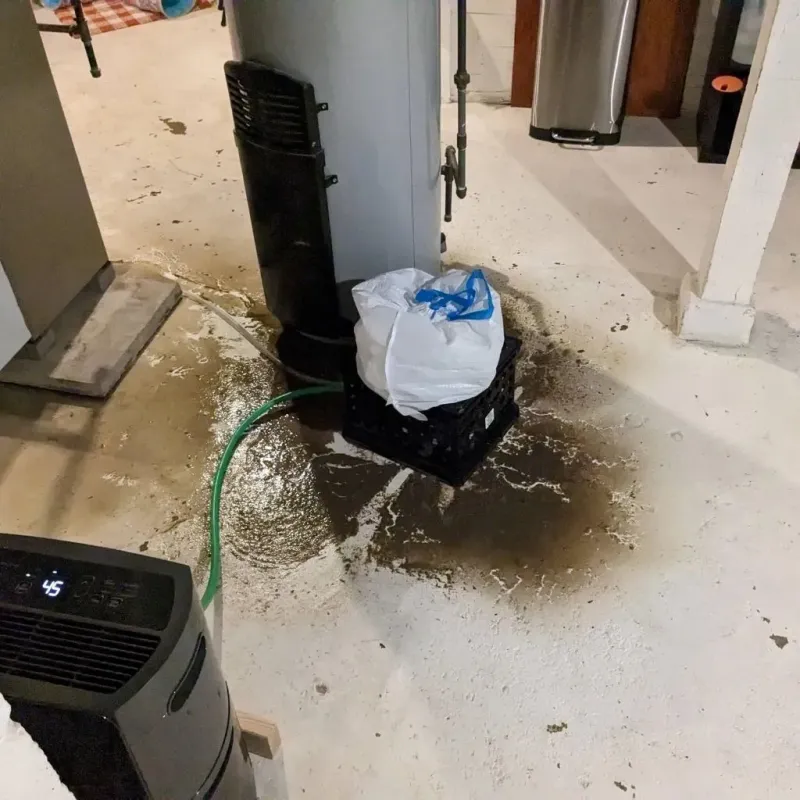 Sewage Backup Cleanup Service in Saint Louis, MI